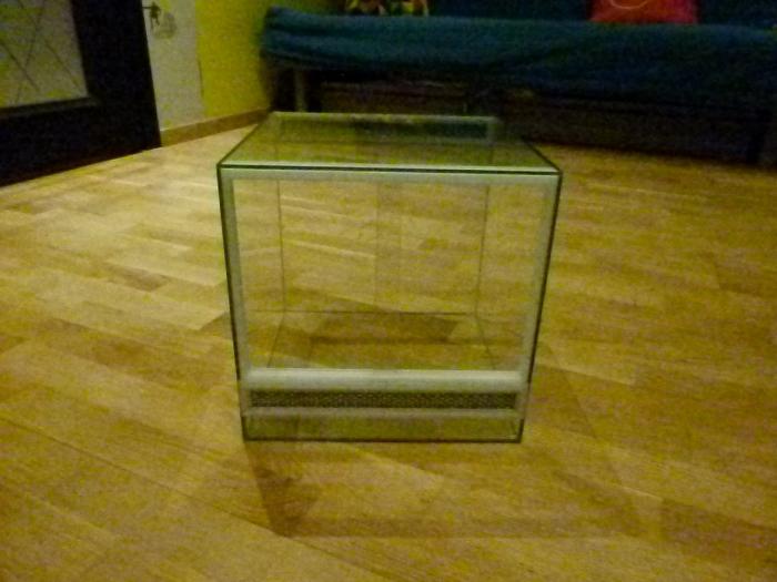 P1290921 (ÐопиÑоваÑÑ).JPG