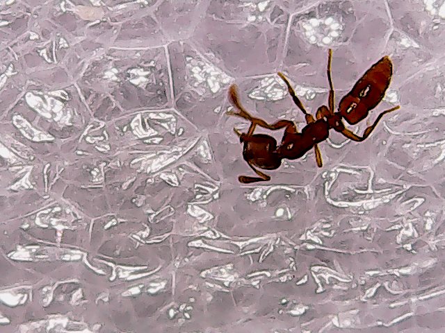 Sun May 06 20-23-14.jpg