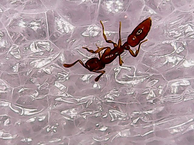 Sun May 06 20-23-26.jpg