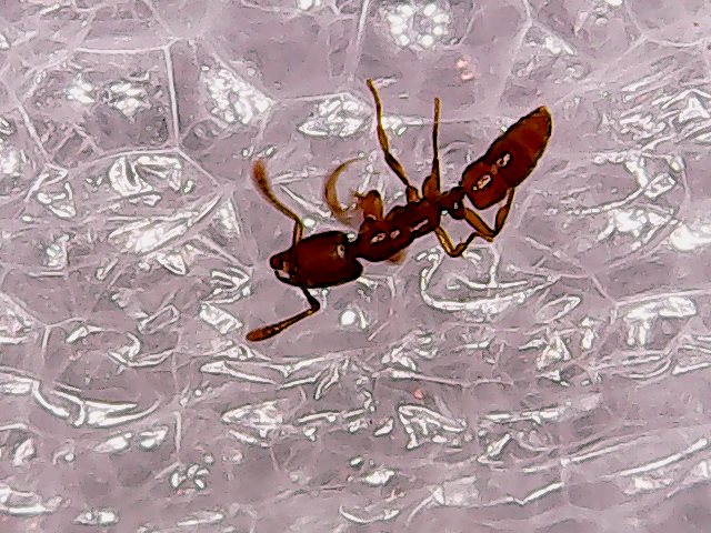 Sun May 06 20-23-32.jpg