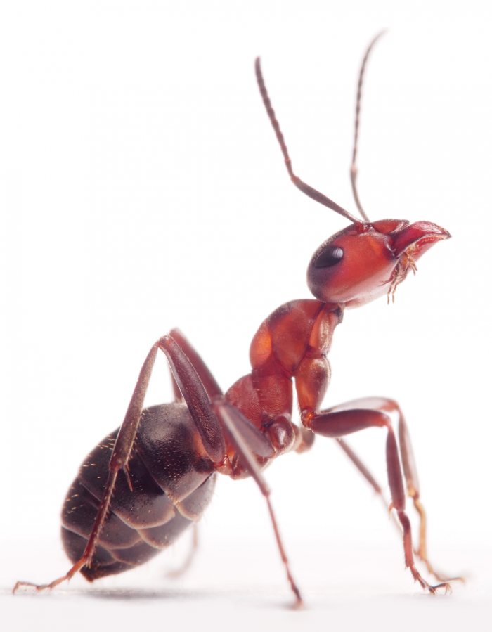  ÑÐºÑÐ°Ð½Ð° 2016-09-06 Ð² 15.46.48.png