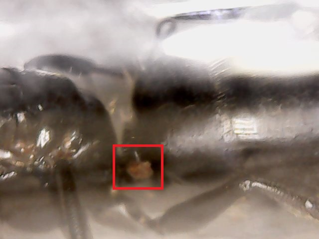 Tue May 09 21-43-26.jpg