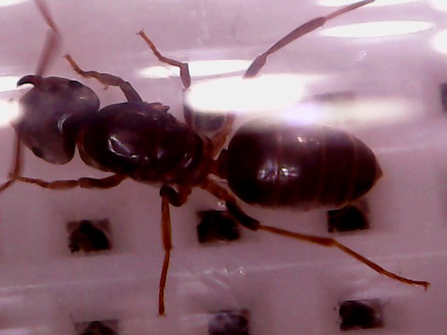 Thu Jul 12 21-32-33.jpg