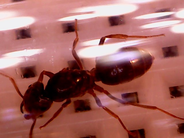 Thu Jul 12 21-34-10.jpg