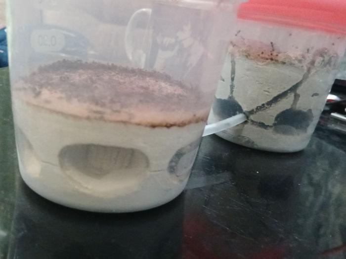  ÐºÐ°Ð¼ÐµÑÐ° ÑÐ±Ð¾ÐºÑ.jpg