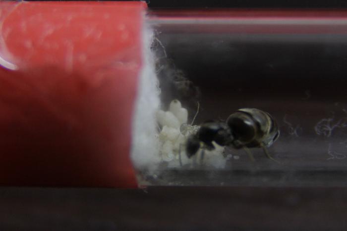 04.08.2018 (1)_0.JPG