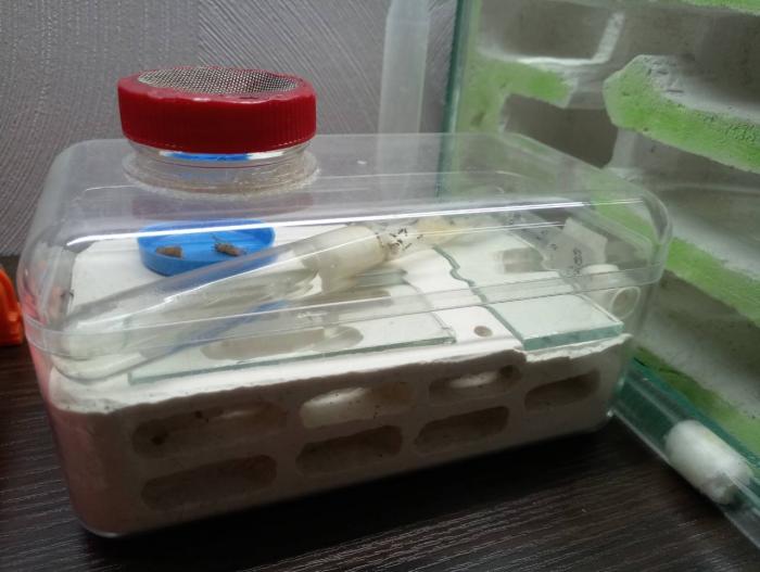 1 ÑÐµÑÑÑ.jpg