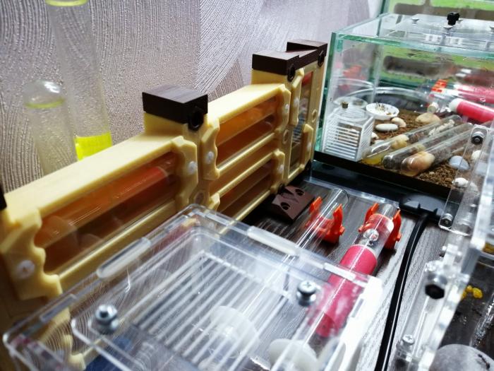 25.01.2019 пеÑеÑеление нигеÑов2.jpg