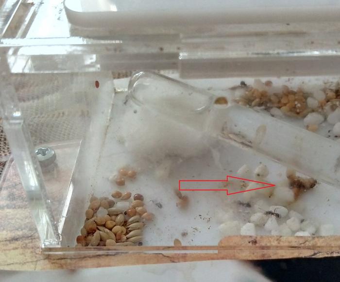 P80528-170525 (1).jpg