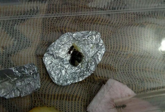 P80529-195628 (1) (1).jpg