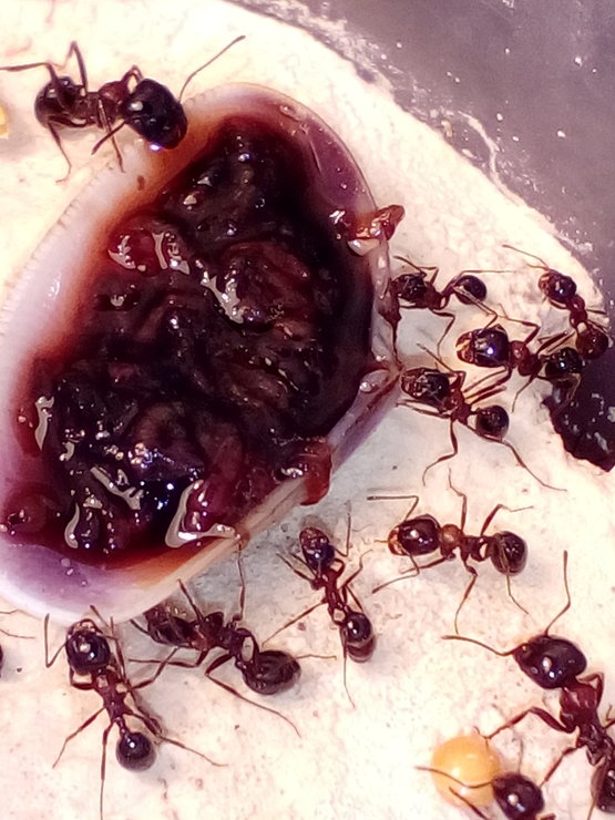 2018-10-02 22-28-34.JPG