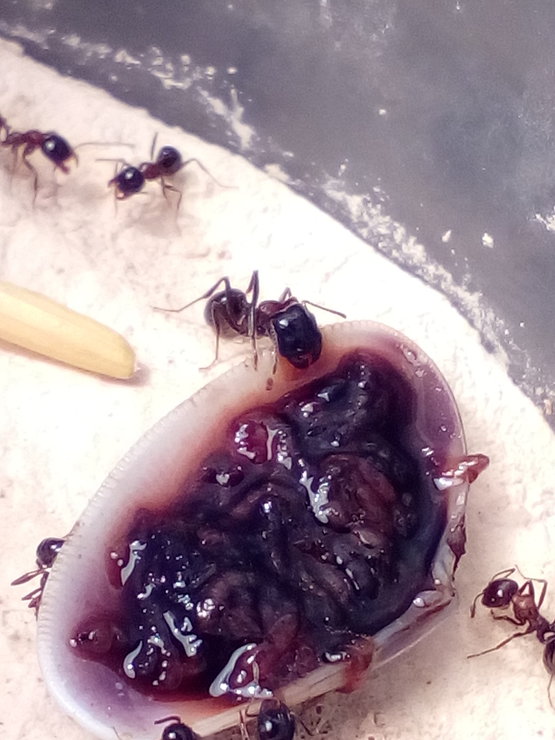 2018-10-02 22-32-03.JPG