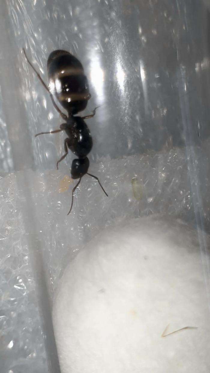 Image 1 2020-01-27 at 11.09.50.jpeg