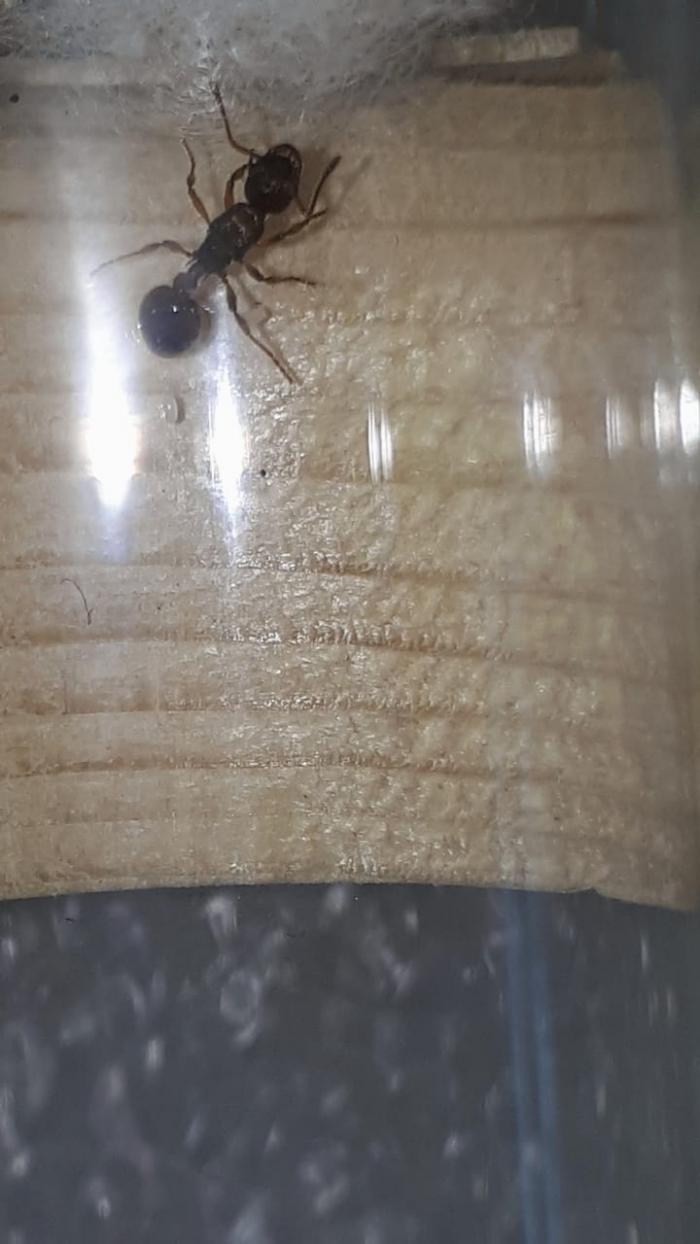 Image 2 2020-01-27 at 11.09.50.jpeg