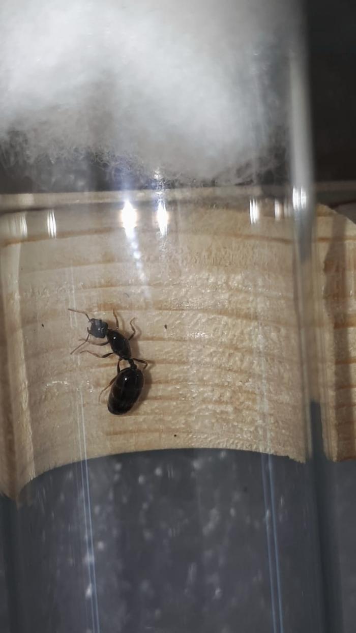 Image 2020-01-27 at 11.09.50.jpeg