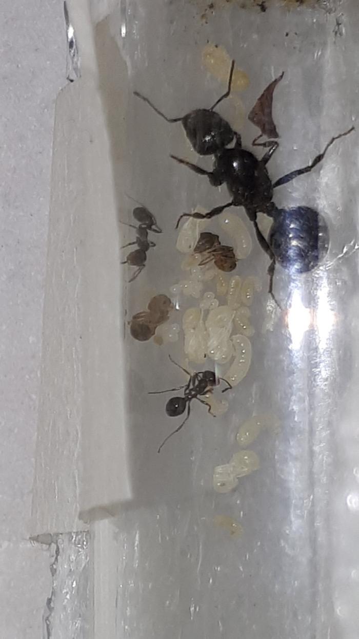 WhatsApp Image 2019-04-24 at 10.34.05 (10).jpeg