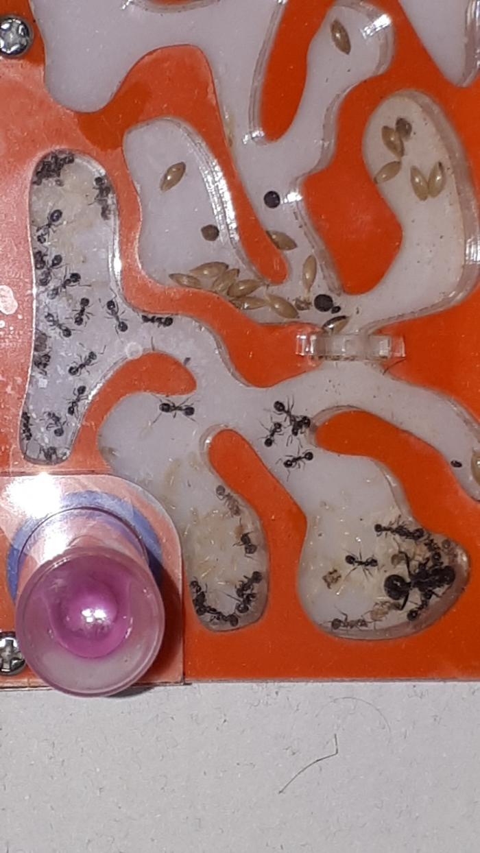 WhatsApp Image 2019-04-24 at 10.34.05 (14).jpeg