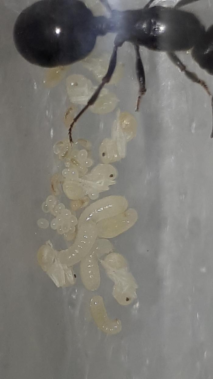 WhatsApp Image 2019-04-24 at 10.34.05 (6).jpeg