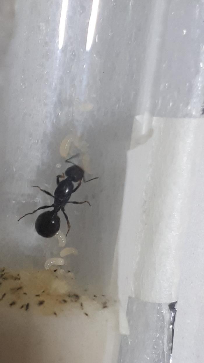 WhatsApp Image 2019-04-24 at 10.34.05.jpeg