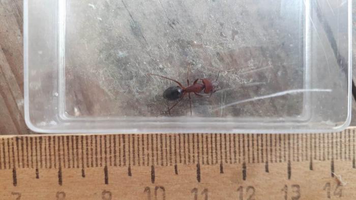 WhatsApp Image 2019-05-29 at 08.13.27.jpeg