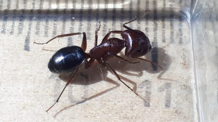 WhatsApp Image 2019-06-13 at 23.11.42.jpeg