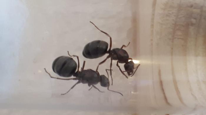 WhatsApp Image 2019-06-22 at 10.29.03 (1).jpeg