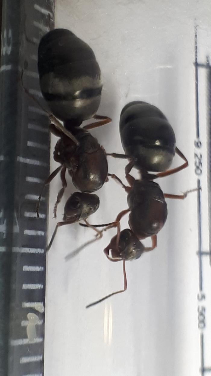 WhatsApp Image 2019-06-22 at 11.45.25.jpeg