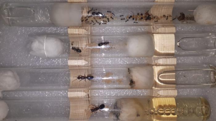 WhatsApp Image 2019-07-09 at 11.40.48.jpeg