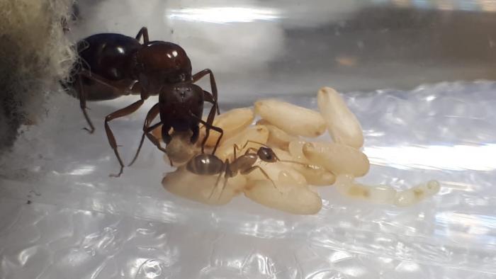 WhatsApp Image 2019-07-17 at 21.07.43.jpeg