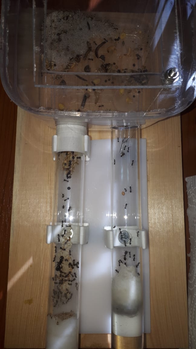 WhatsApp Image 2019-08-16 at 15.11.36 (2).jpeg