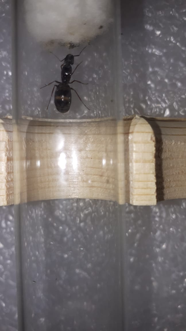 WhatsApp Image 2019-08-16 at 15.11.36.jpeg