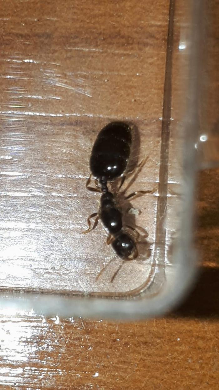 WhatsApp Image 2019-09-03 at 11.26.58.jpeg