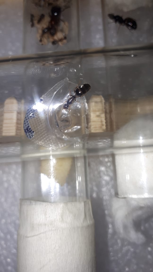 WhatsApp Image 2019-09-03 at 11.27.59 (1).jpeg