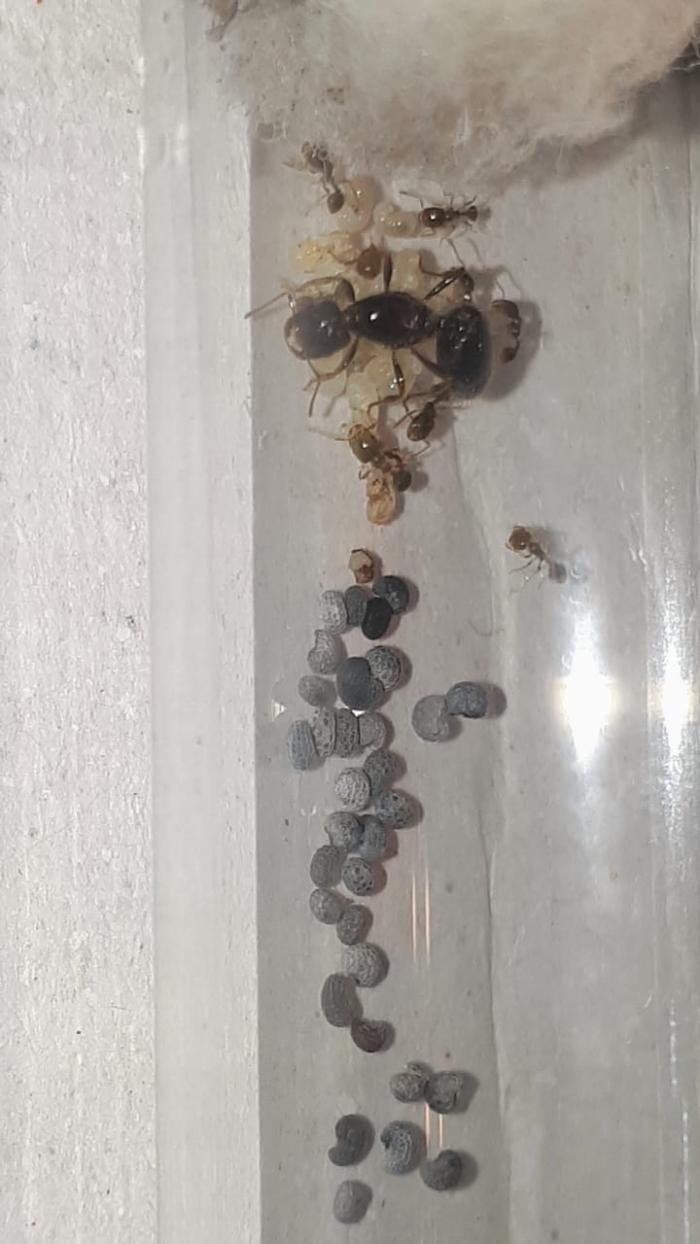 WhatsApp Image 2020-04-27 at 21.12.02.jpeg