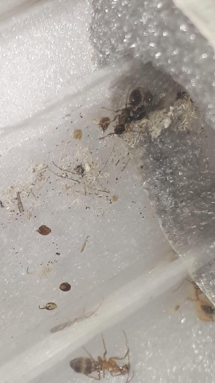 WhatsApp Image 2020-06-20 at 22.42.55 (1).jpeg