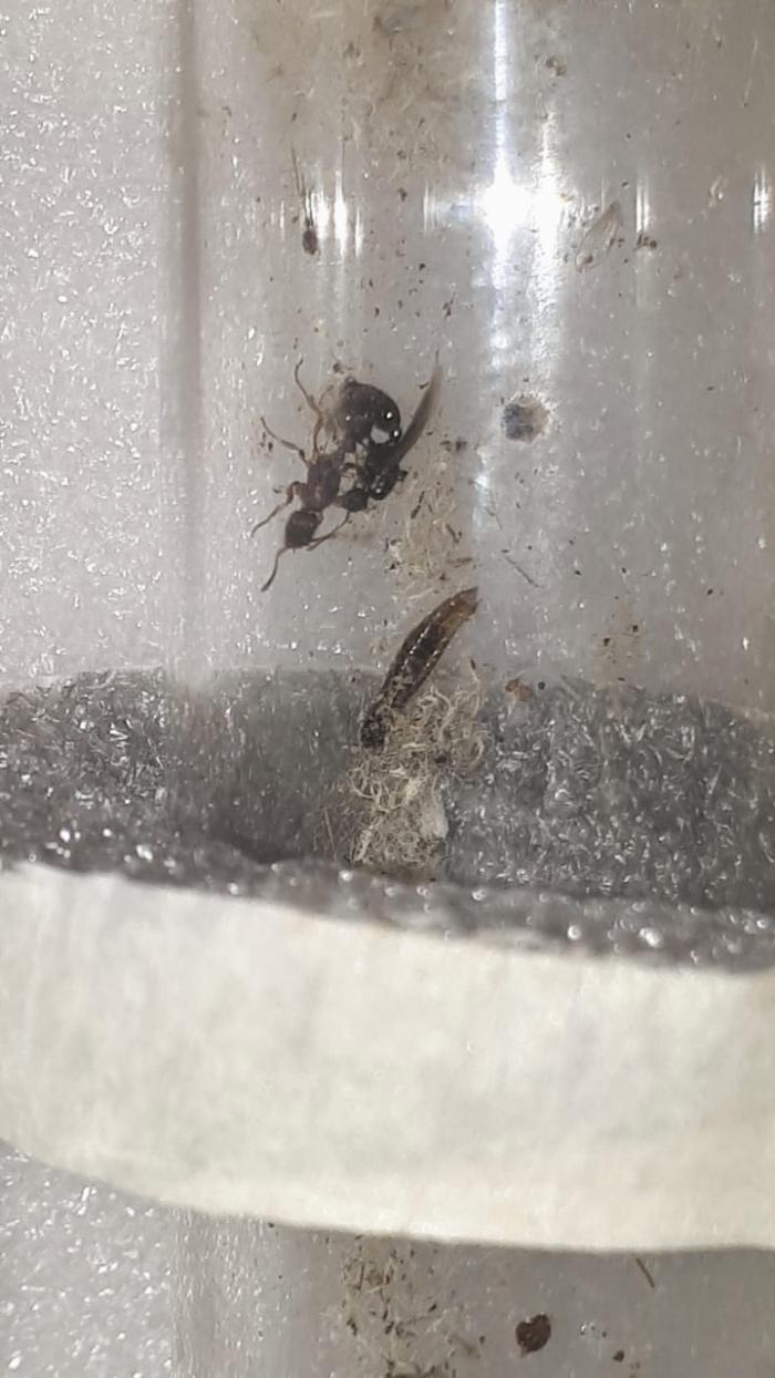 WhatsApp Image 2020-06-20 at 22.42.55 (2).jpeg