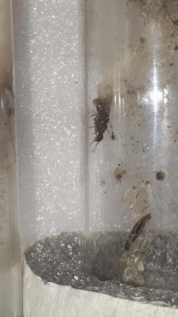 WhatsApp Image 2020-06-20 at 22.42.55 (3).jpeg