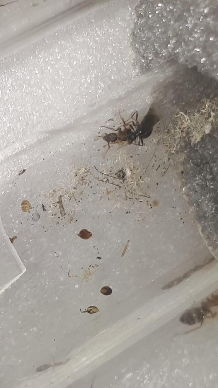 WhatsApp Image 2020-06-20 at 22.42.55.jpeg