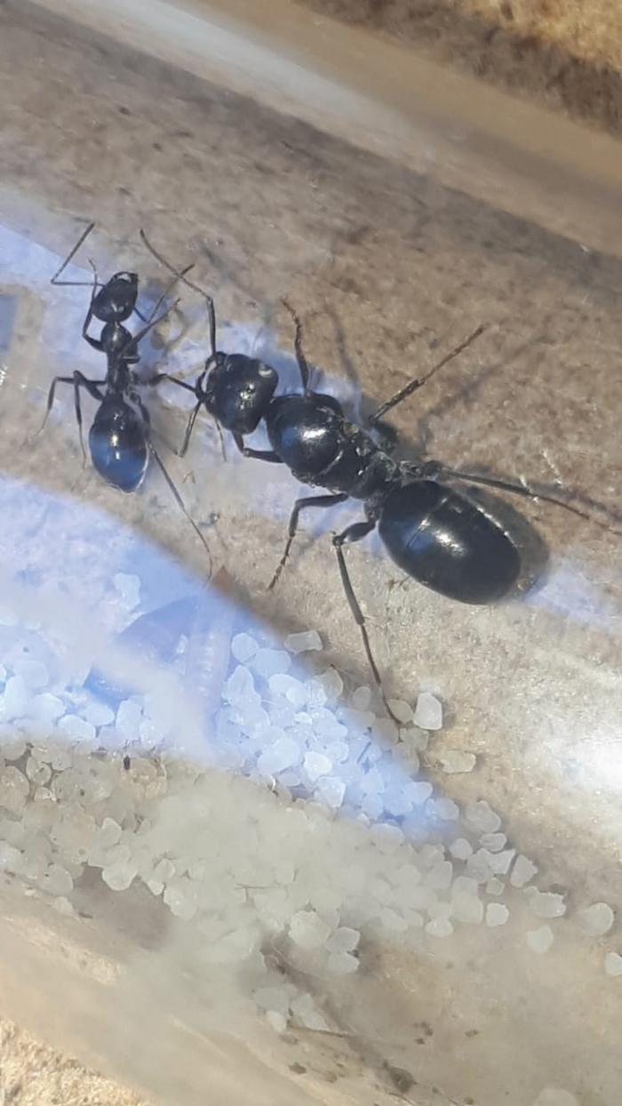 WhatsApp Image 2020-07-28 at 23.06.08.jpeg