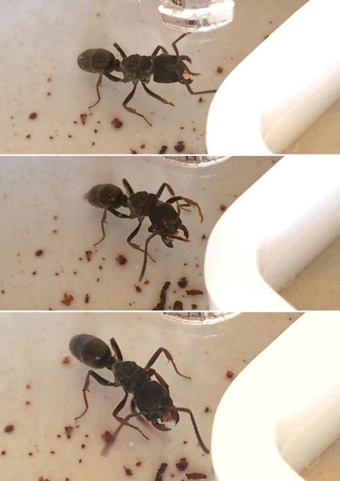  Ð±ÐµÐ· Ð½Ð°Ð·Ð²Ð°Ð½Ð¸Ñ.jpg