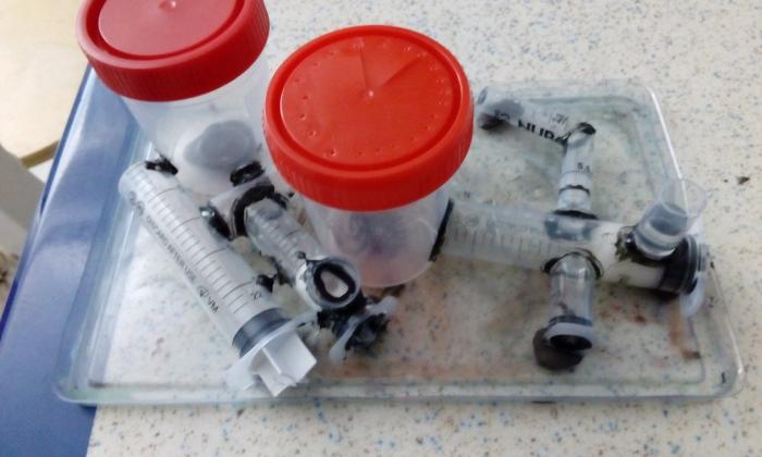 Творчество сына