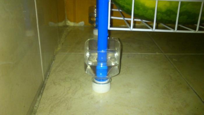 Защита от муравьёв :)