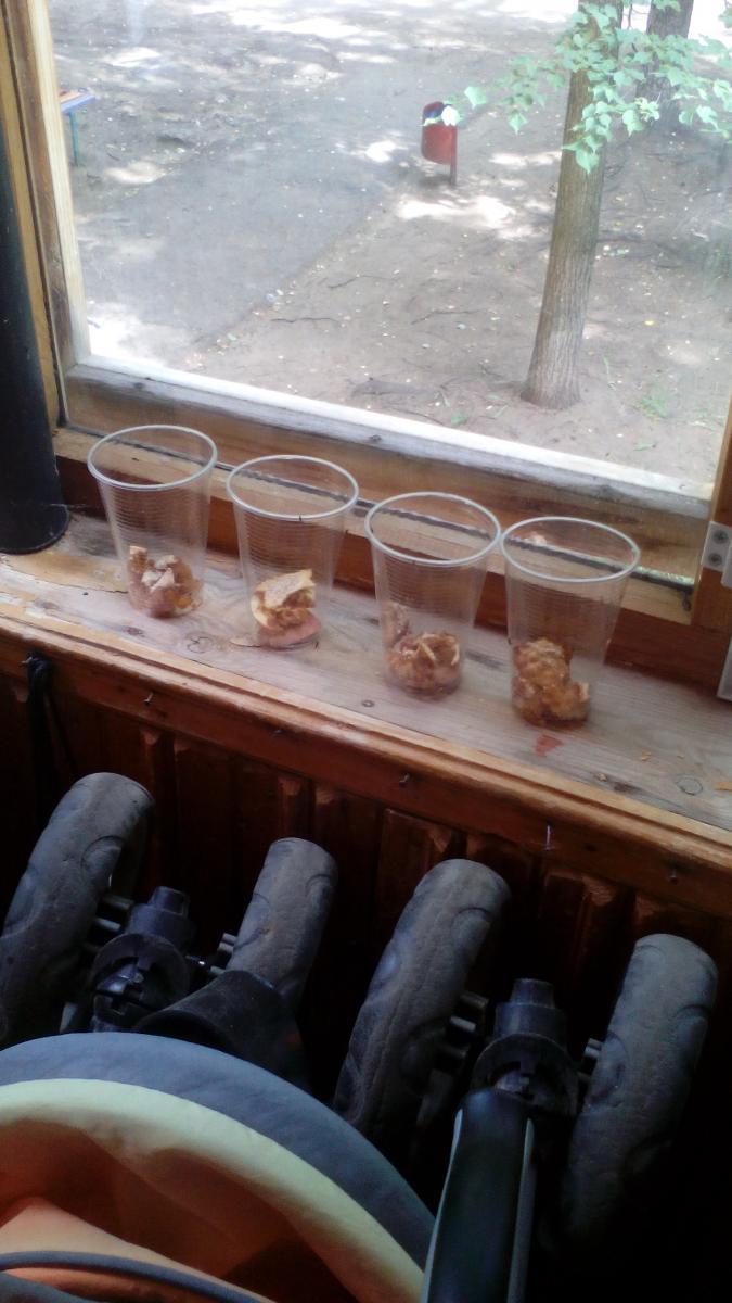 Стаканчики