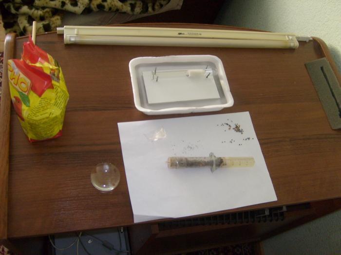 Вот сам островок и шприцы в которых пришли Messor-ы