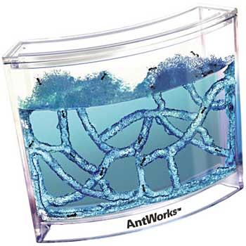 Antworks - гелевый муравейник