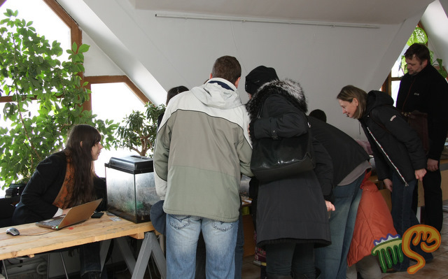 А здесь живут улитки!