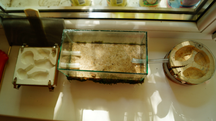 Общий вид.jpg