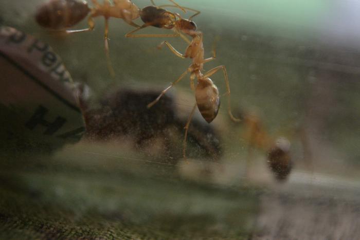  А мы не жадные