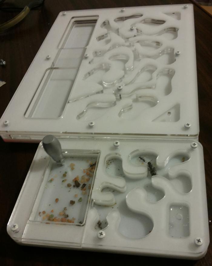 2014-01-11 23.36.17.jpg