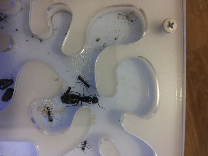 2014-01-17 22.43.13.jpg